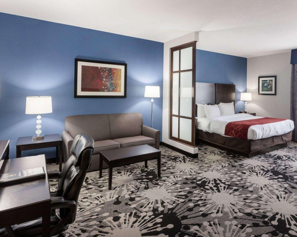 Las mejores ofertas de Comfort Suites Greenville Greenville 