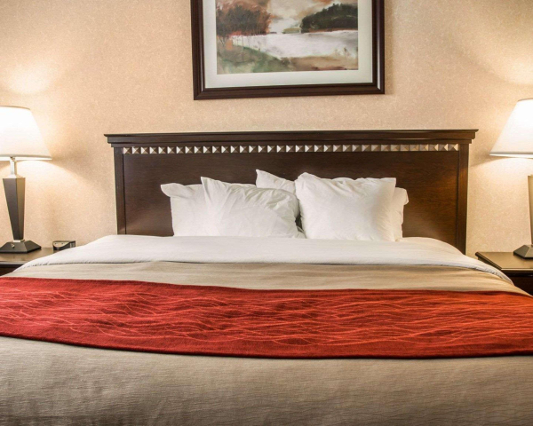 Las mejores ofertas de Quality Inn & Suites Auburn Hills Waterford 