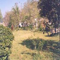 Las mejores ofertas de Casa a Pousa O Rosal