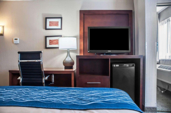 Las mejores ofertas de Comfort Inn University Amherst Area Amherst 