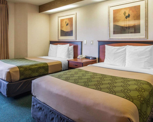 Las mejores ofertas de Econo Lodge North Academy Colorado Springs 