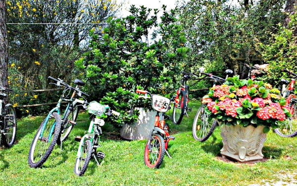 Las mejores ofertas de Green Hotel Motel Varese