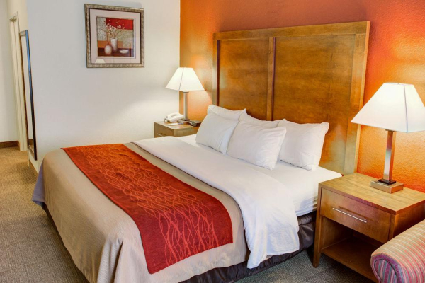 Las mejores ofertas de Comfort Inn & Suites North Greenfield Indianapolis 