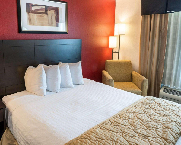 Las mejores ofertas de Quality Inn Brooklyn Center Minneapolis