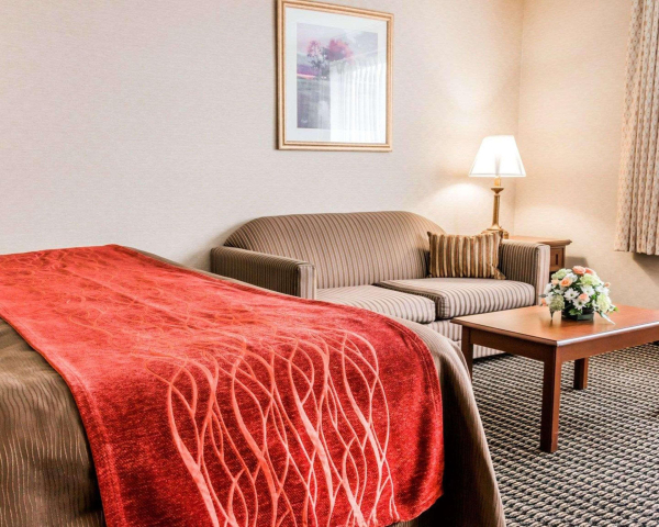 Las mejores ofertas de Comfort Inn (Utica) Detroit 