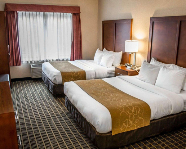 Las mejores ofertas de Comfort Suites Southwest Portland