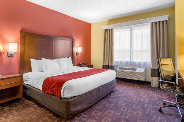 Las mejores ofertas de Comfort Suites - Near The Galleria Houston