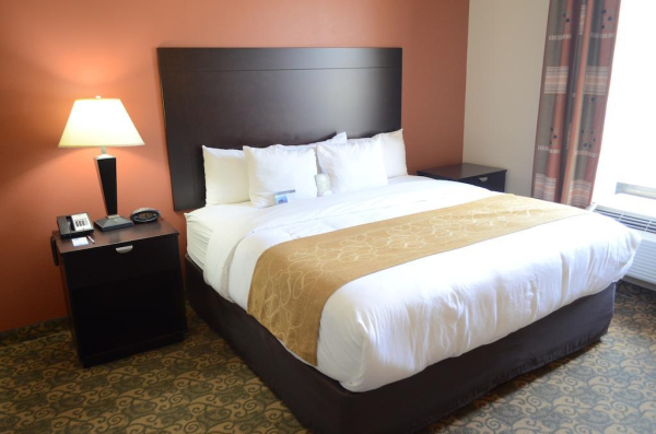 Las mejores ofertas de Comfort Suites Westchase Houston Energy Corridor Houston