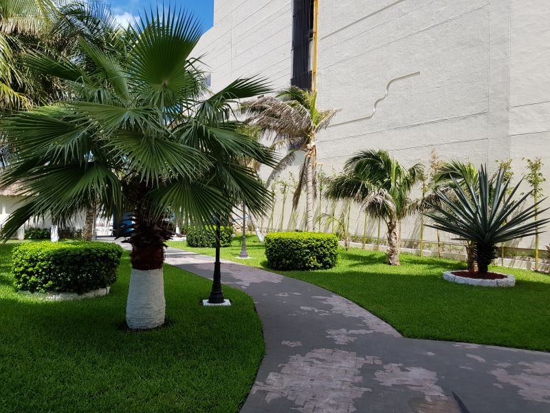 Salvia Cancun Aparts