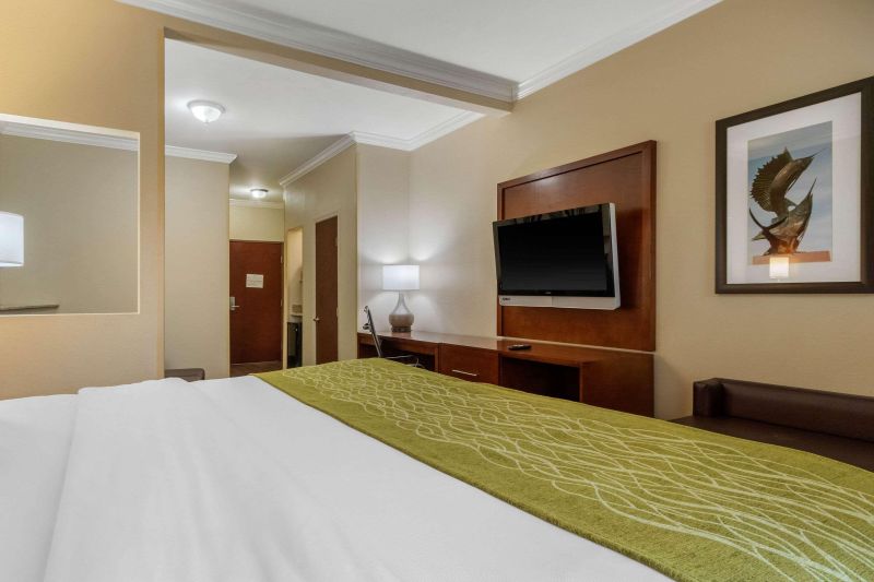 Comfort Suites Central