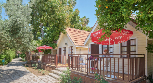 Las mejores ofertas de Clover Magic Nova Beach Side