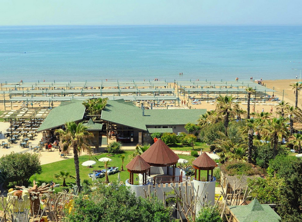 Las mejores ofertas de Oleander Side