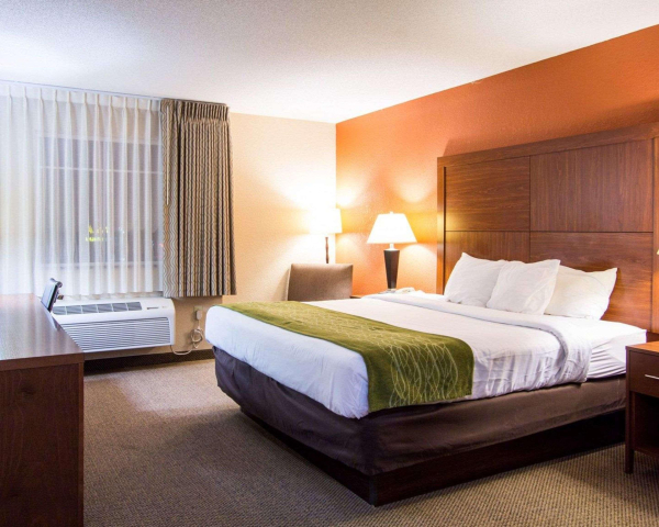 Las mejores ofertas de Comfort Inn & Suites Airport Convention Center Charleston 