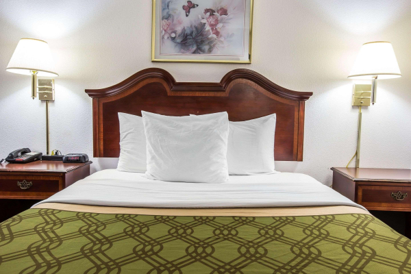 Las mejores ofertas de Econo Lodge South Raleigh 