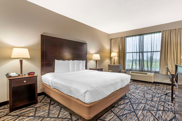 Las mejores ofertas de Best Western Plus Hobby Airport Inn & Suites Houston