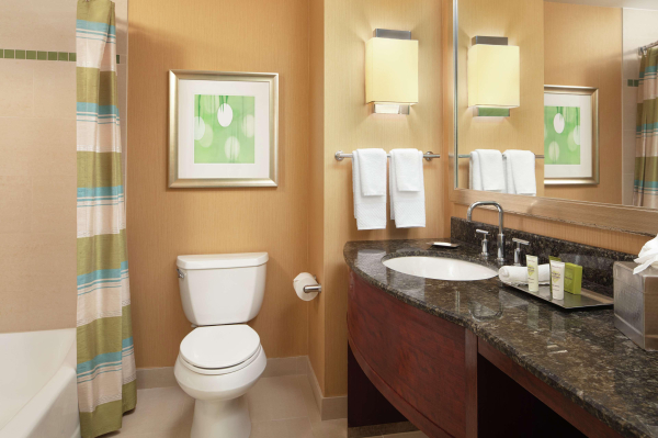 Las mejores ofertas de Hilton Orlando Orlando