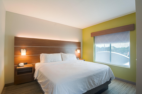 Las mejores ofertas de Holiday Inn Express & Sts Tampa USF Busch Gardens Tampa 