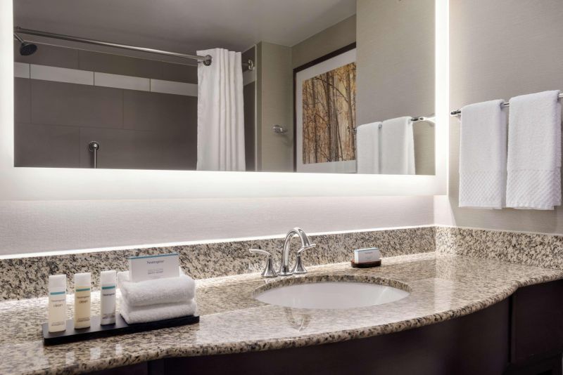Embassy Suites by Hilton Atlanta Alpharetta
