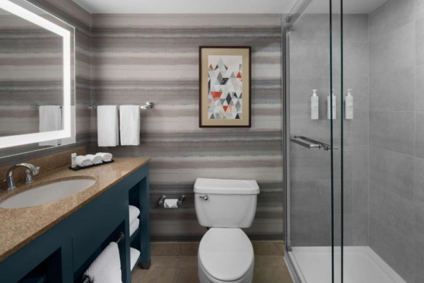 Las mejores ofertas de Embassy Suites by Hilton Phoenix Biltmor Phoenix 