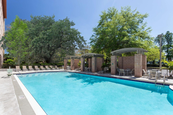 Las mejores ofertas de Embassy Suites by Hilton Tampa USF Near Busch Gard Tampa 