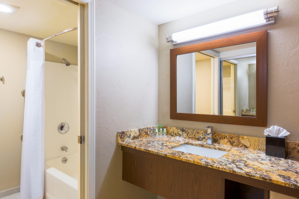 Las mejores ofertas de Holiday Inn Resort The Lodge at Big Bear Lake Big Bear Lake 