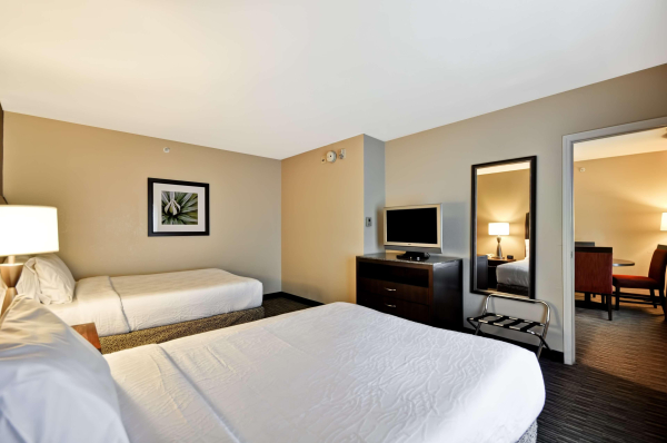 Las mejores ofertas de Hilton Garden Inn Tampa North Tampa 