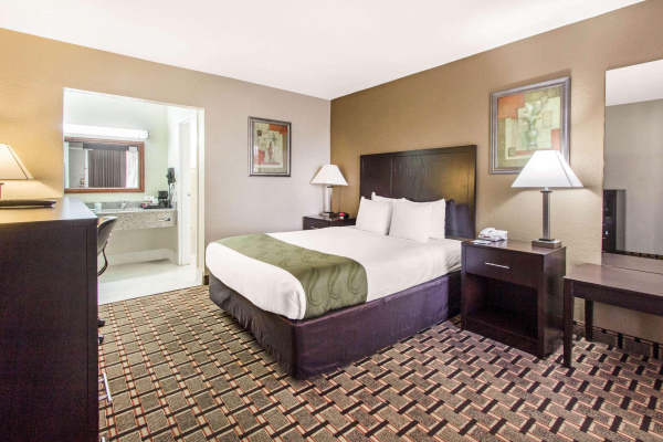 Las mejores ofertas de Quality Inn & Conference Center Tampa Tampa 