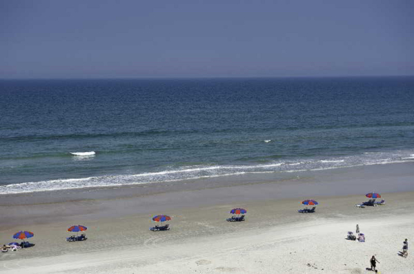 Las mejores ofertas de Daytona Beach Resort & Conference Center Daytona Beach 