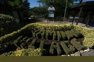 Las mejores ofertas de Flaminio Village Residence (Bungalow Park) Roma