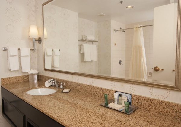 Las mejores ofertas de Hilton Indianapolis Hotel & Suites Indianapolis 