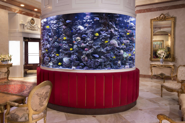 Las mejores ofertas de The Kimberly Hotel Nueva York