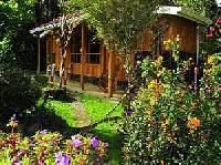 Las mejores ofertas de Suria Lodge Dominical