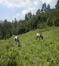 Las mejores ofertas de Casa Pedrolo Outes