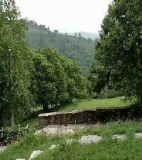 Las mejores ofertas de Cruceiro de Goo Goo