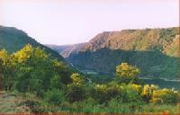 Las mejores ofertas de Reitoral de Chandrexa Parada De Sil