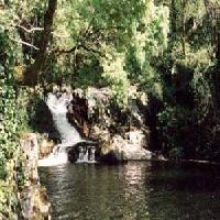 Las mejores ofertas de Torre Vilariño Fión