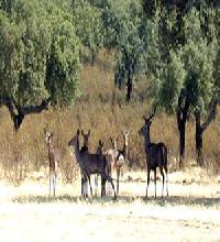 Las mejores ofertas de La Tora Valencia De Alcántara 