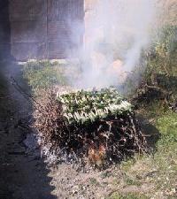 Las mejores ofertas de Casa Colot El Pont Dʿ Armentera 