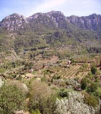 Las mejores ofertas de Ca Les Barberes Paüls 