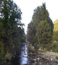 Las mejores ofertas de El Nogalón Jerte 