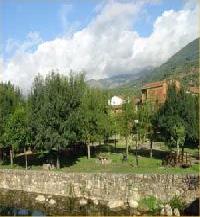 Las mejores ofertas de Los Hebiles Jerte 