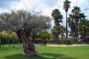 Las mejores ofertas de VALENCIA GOLF Bètera