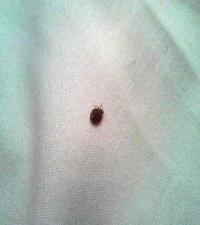 Las mejores ofertas de Hotel Des Arts Montmartre Paris 