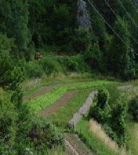 Las mejores ofertas de Cal Tomás Ossera