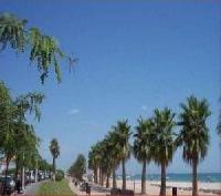 Las mejores ofertas de Can Salvador Cases d  Alcanar