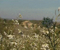 Las mejores ofertas de Les Pletes Massoteres