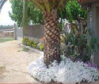 Las mejores ofertas de Miriam I Joana Deltebre