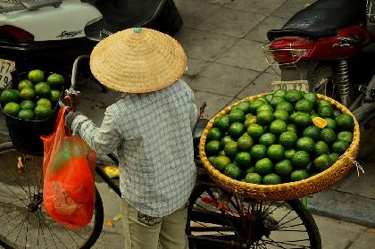 Viajes a  Vietnam  Viajes y Circuitos por Vietnam  Ofertas de viajes a  Vietnam 