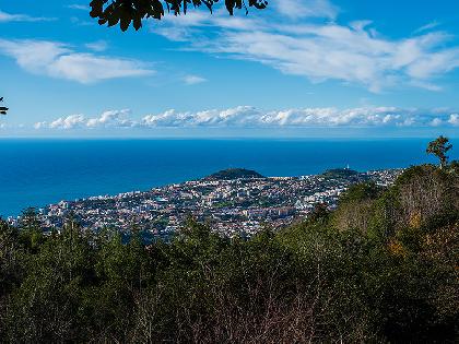 label[Travel_to_938] Madeira Viajes y Circuitos por Madeira Ofertas de viajes a  Madeira