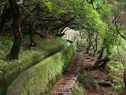 label[Travel_to_938] Madeira Viajes y Circuitos por Madeira Ofertas de viajes a  Madeira